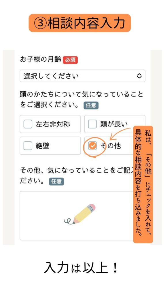 最後に、相談内容を入力します。私の場合は「その他」の欄にチェックを入れて、具体的な相談内容を書き込みました。